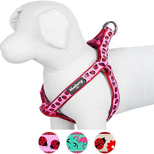 Blueberry Pet Harnais Tour de poitrail: 42-54cm, Motifs Coccinelle, Harnais Chien, Réglable, Nylon, Collier et Laisse Assortis Vendus séparément.