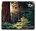 Produktbild SHAQ National Parks Mouse Pad Mauspad, Morning Sunlight in Wilderness Yosemite Sierra Nevada United States Nature, Standard Size Rectangle Non-Slip Rubber Mousepad, Green Brown