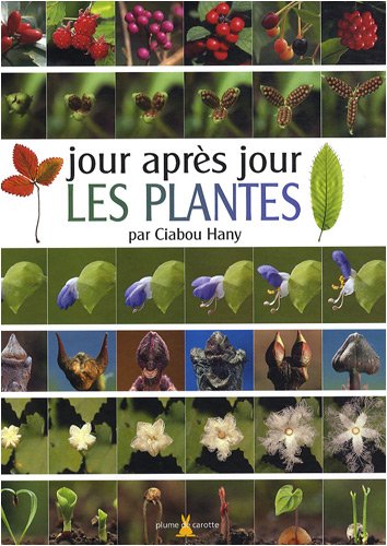 couverture de : Jour apr&egrave;s jour