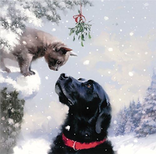 Charity Christmas Cards - Dog and Cat Under The Mistletoe - 6.25 x 6.25" - Pack of 8 - 42779