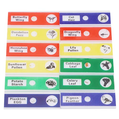 Preisvergleich Produktbild kemai Bunte Mikroskop-Proben Biologische Objektträger Objektträger für Kinder