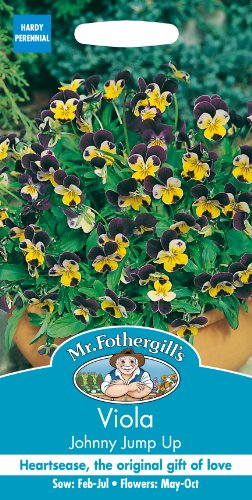 Mr. Fothergill's 18245 Johnny Jump Up Viola Flower Seeds, happy mix