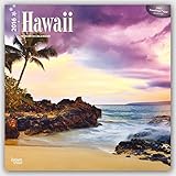 Hawaii 2016 - 18-Monatskalender mit freier TravelDays-App: Original BrownTrout-Kalender [Mehrsprachig] [Kalender] (Wall-Kalender) by 