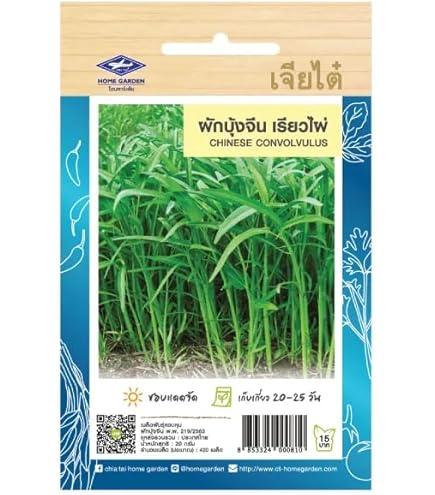 200 Graines de Chou Chinois Tatsoi - légumes ancien - semences
