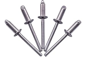 SKIR'CO (100 pezzi) Rivetti ciechi in acciaio inox 4,8 x 10 mm, testa a cupola, rivetti pop, DIN 7337, rivetto A2, mandrino scanalato