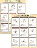 Image de Stretching Anatomy Poster Series