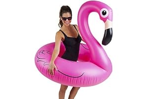 BIGMOUTH Big Mouth Toys BMPF-0001-EU Pool Float, Multicolor