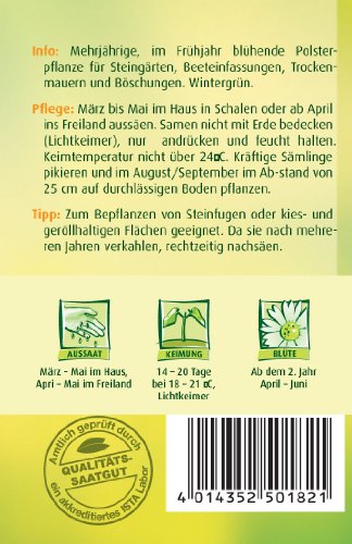 Blaukissen, Rosa-rot - 2