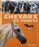 Chevaux et poneys