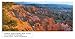 Produktbild Glasbilder Deco Glass -(4018) QUEENS GARDEN BRYCE COLORADO by Alain Thomas - Decoglass - Glasbild - 50x120 cm - Gehärtetes Sicherheitsglas - hohe Biege- Schlag- und Standfestigkeit - Wald Gebirge Blumen Orchidee Natur Landschaft Bäume Küche