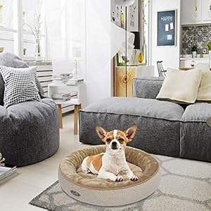 LoveChihuahua.it - Informazioni, curiosità, video, ricette e accessori per Chihuahua 