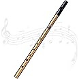 Tin Whistle Penny Whistle Six-holed Tin Whistle D,D Tin Whistle Perfect for Traditional Celtic Music (Black)