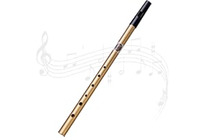 penmol Tin Whistle Penny Whistle Six-holed Tin Whistle D,D Tin Whistle Perfect for Traditional Celtic Music (Black)