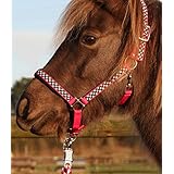 Halfter und Strick Set -Halfterset Gr. Shetty