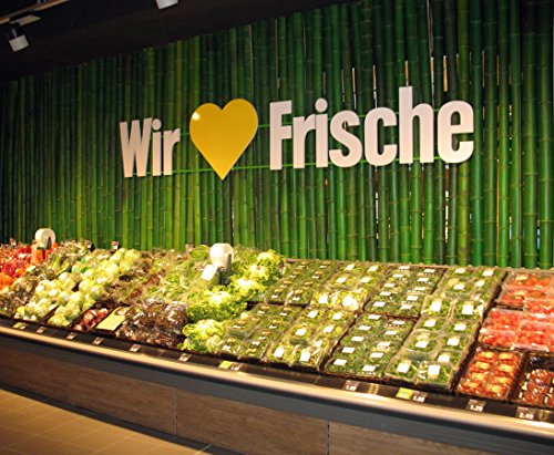 Bambusstange grün gefärbt Durch. 4,8 bis 6,5cm 200cm, Moso – Bambusrohre, Rohre aus Bambus, Bambus Rohre Bambusrohr –> großes Sortiment an Sichtschutz, Bambus, Schilf und Naturprodukte für Garten - 5