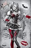 Offiziell lizenziert DC Comics Harley Quinn Poster. Offiziell lizenziert