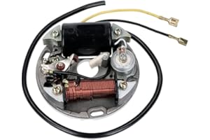 DS MOTION Zündplatte, Stator 6V, 17W, Puch Maxi 1 Gang Automatik, E50 Motor