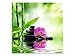 Produktbild kunst-discounter Bild Leinwandbilder Canvas Bambus Garten Orchidee Spiegelung A05333 Größe 50 x 50 cm