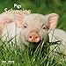 Produktbild Schweine 2014 Broschürenkalender