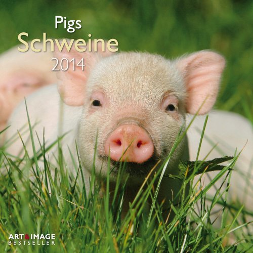 Preisvergleich Produktbild Schweine 2014 Broschürenkalender