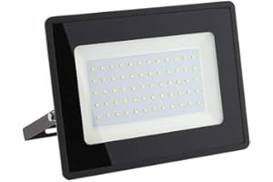 Greenice Foco Proyector LED 30W 3600Lm 6000ºK IP66 Impermeable Regulable | Iluminación Exterior de Alta Eficiencia | Ideal para Exteriores, Jardines, Naves