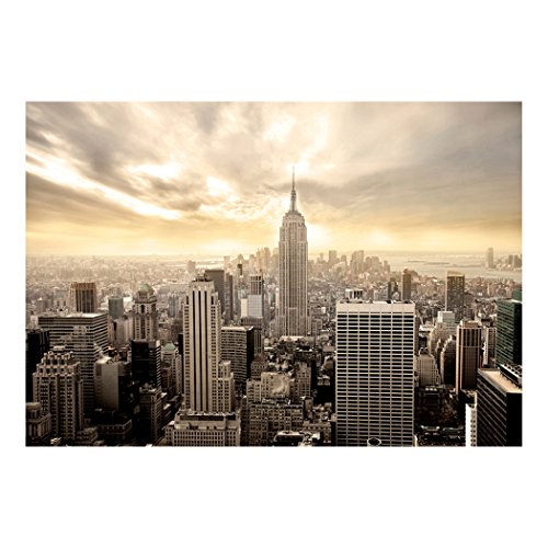 Fototapete New York Stadt City 400×280 cm XXL | KOMPLETT SET MIT KLEISTER – PREMIUM VLIES TAPETE – PROFI QUALITÄT (Keine Papiertapete, keine Blasenbildung) – Top moderne Wanddeko – Fototapete 3D Illusion – Riesen Wandbild – Top Design Tapete – Neue exklusvie Edition mit noch besser Druckauflösung – Deutsches Premium Vlies (Kein Import Vlies oder PVC), Schlafzimmer, Wohnzimmer, Kinderzimmer geeignet | Fototapeten Wandtapete FOB0235a84XL - 3