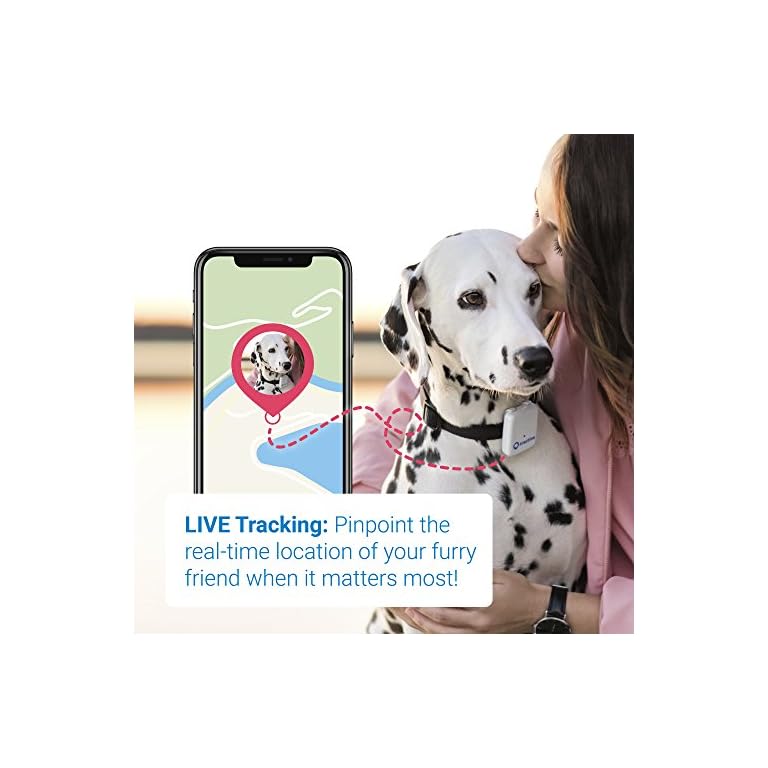 Tractive GPS Pet Tracker Dog Gadgets Store