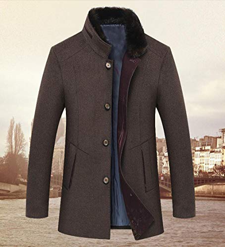 PFSYR Herren Wolljacke, Winter warme Wollmantel, Stehkragen Mode sehr schönes Geschenk (Farbe : Brown, größe : S)