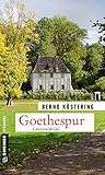 Cover zum Buch Goethespur