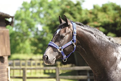 Cottage-Craft-Candy-Stripe-Head-Collar