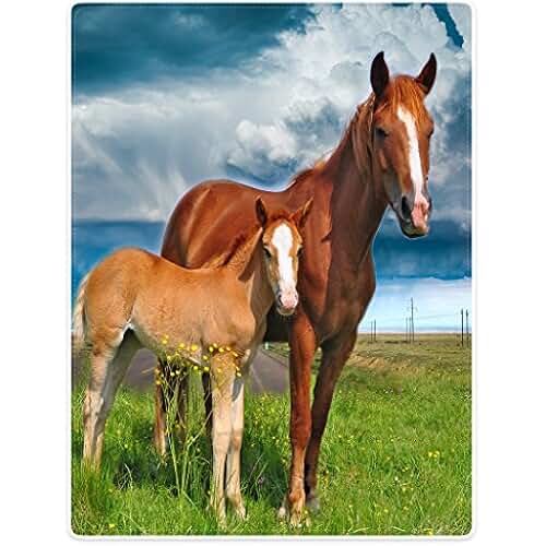 Suchergebnis auf Amazon.de für: kuscheldecke mit pferdemotiv
