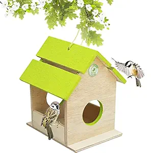 PetNest Wild Hanging Bird Feeder Chabutra Gift idea for Outside, Patio, Backyard, with Free Hanging (Green Chabutra)