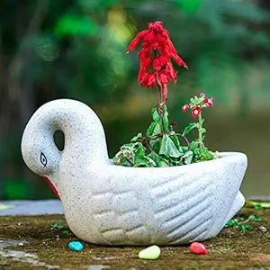 Lyallpur Stores Swan Ceramic Planter - Large (White Color, 15 cm) Plant Not Included