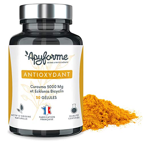 Apyforme - Antioxidante - Suplemento alimenticio antioxidante - Bicicleta de cúrcuma y algas marinas ecklonia - Libre de pesticidas, libre de gluten - 30 cápsulas vegetales - Made in France