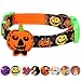 Produktbild Blueberry Pet Feiertags-Halsbänder 2,5cm L Halloween Ernte Kürbis Klassisches Designer Hundehalsband mit Abnehmbarer Deko