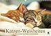 Produktbild Katzen-Weisheiten: 12 Bonmots für Katzenliebhaber (Wandkalender 2019 DIN A3 quer): Charmante Stubentiger: Besinnliches und Heiteres (Monatskalender, 14 Seiten ) (CALVENDO Wissen)
