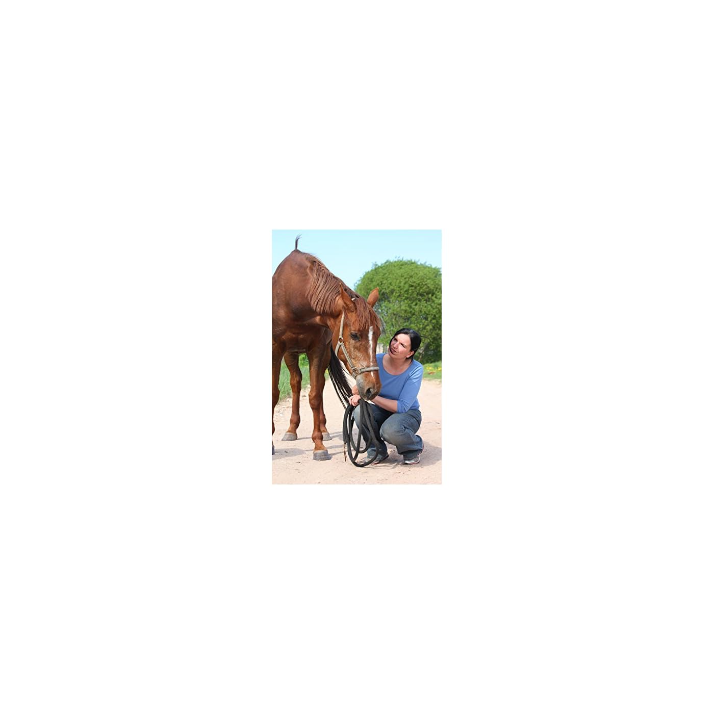 Horse ‘n’ Pony