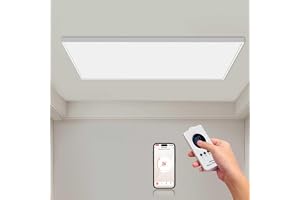 Hocosyme Infraröd strålningspanel tak 1000W Med fjärrkontroll och Wifi - Snabbvärme, Energisnål & TUV-certifierad - Säker Tys