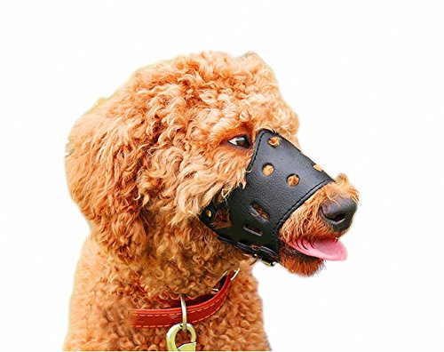 ColyBeautycor-Adjustable-Anti-biting-Dog-Muzzle-Leather