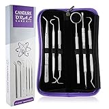 CANDURE Dental Sticks for Oral Care and Mouth Care Inter-dental Floss Tooth Pick Set