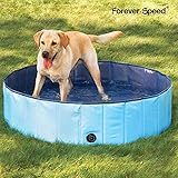 Piscine Pour Chien Quelle Est La Meilleure Comparatif Tests