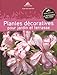 Produktbild Plantes décoratives pour jardin et terrasse