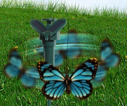 Flatternder Solar Schmetterling - 2