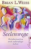 Seelenwege: Reinkarnation und zukünftige Lebenswege by Brian L. Weiss, Vincenzo Benestante