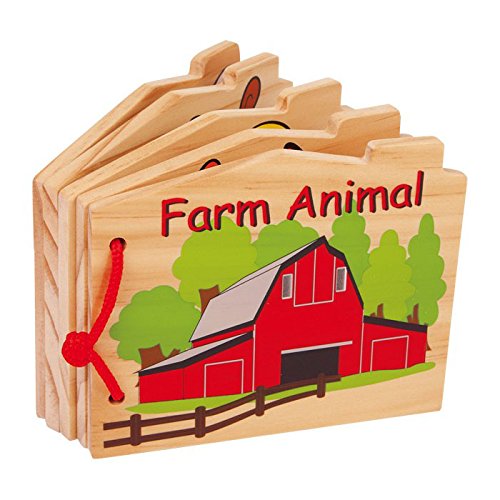 Legler Wooden Book
