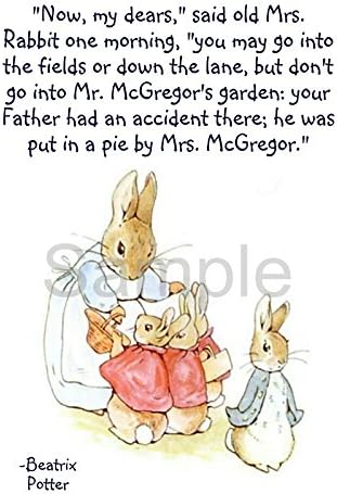 Peter Rabbit Mrs Rabbit Book Quote A3 poster print cute