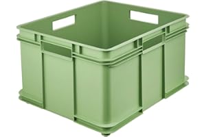keeeper Boîte de Transport avec poignées, Euro-Box XXL, 52 x 43 x 28 cm, Bruno Eco Line, Vert (Eco Grass Green)