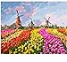Produktbild chellonm (Kein Rahmen)   DIY Bild-Ölgemälde Durch Zahlen Malen Nach Zahlen Für Wohnkultur Leinwand Malerei       Tulpe Und Windmühle