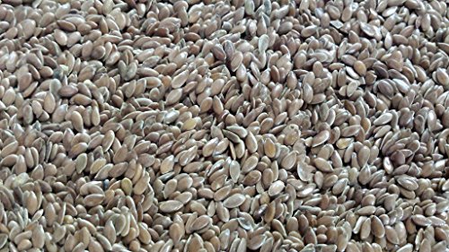 Preisvergleich Produktbild Widu - Leinsaat Bio - 2,5 kg