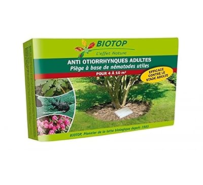 Biotop Piège pour Otiorhynque adulte